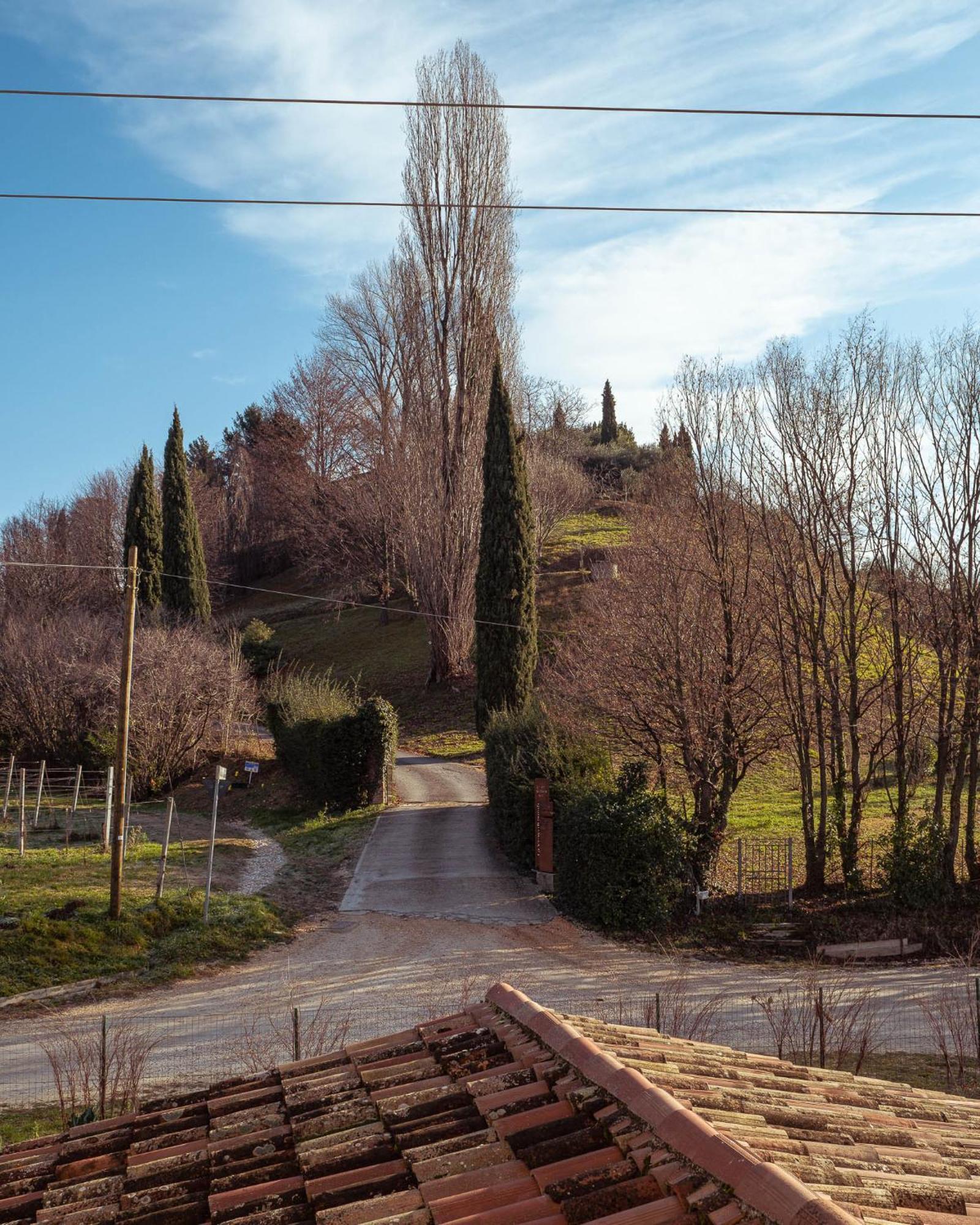 La Vigna di Sarah Bed & Breakfast Vittorio Veneto Bagian luar foto